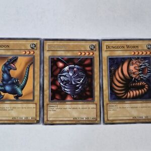 Reptile Trading Card Set